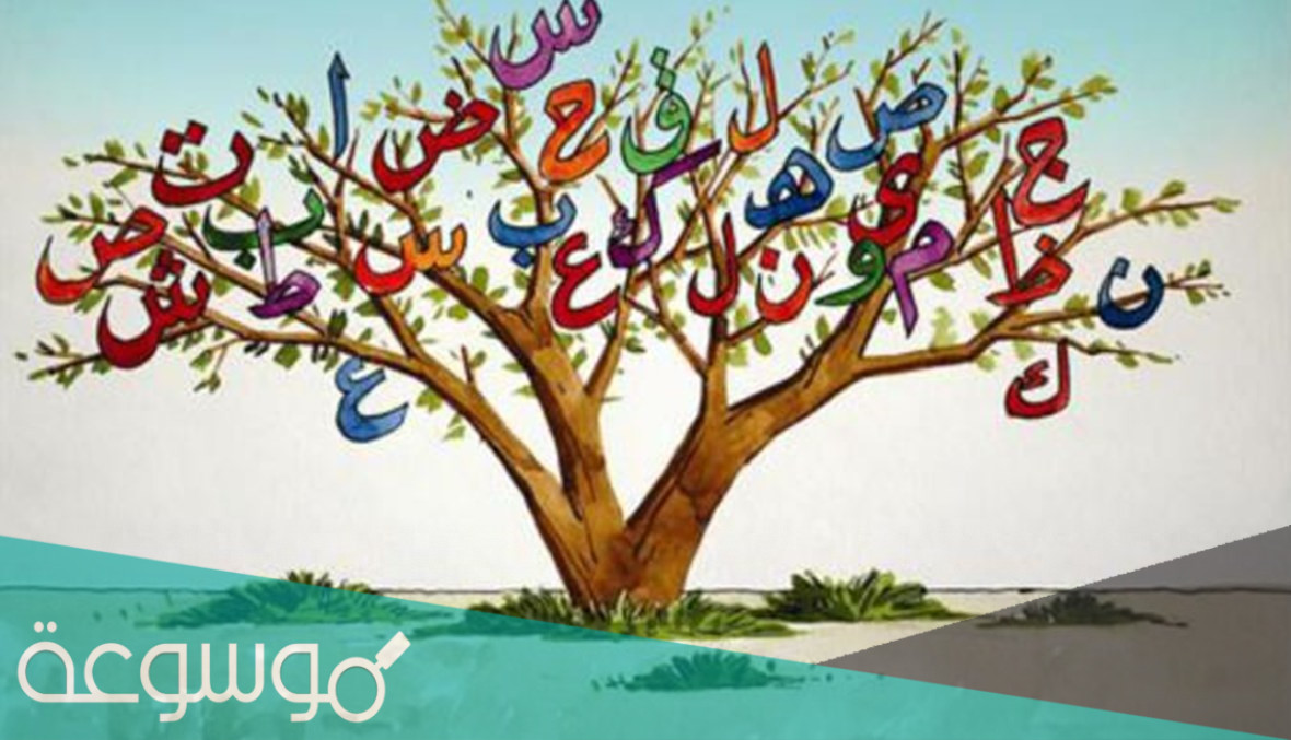 اذا احد قالي ونعم وش ارد