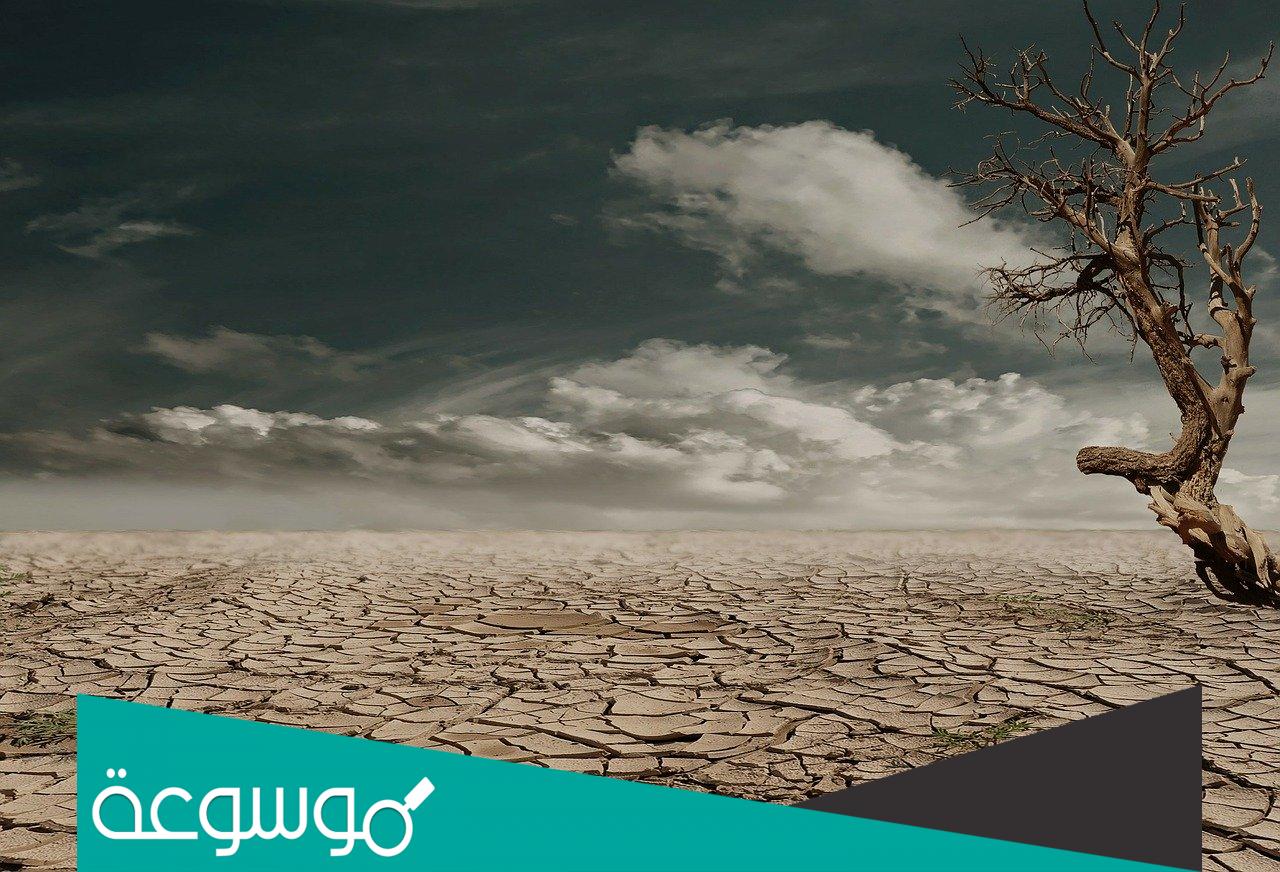 اسباب تدهور الاراضي الزراعية والرعوية ومناطق الغابات