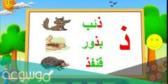اسم جماد بحرف ذ ما هو