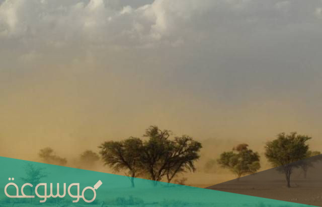 اسماء الرياح عند البدو