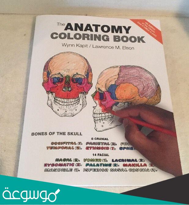 افضل كتب الاناتومي