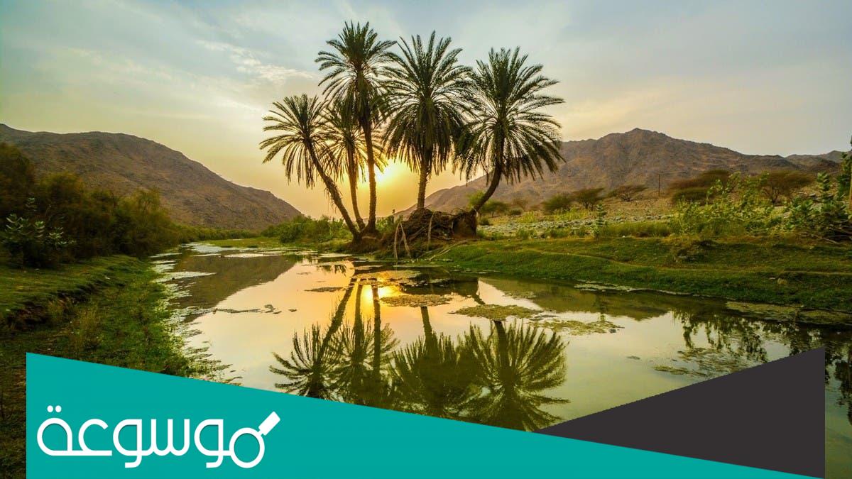 اكبر الاودية الخارجيه التي تصب في البحر الأحمر