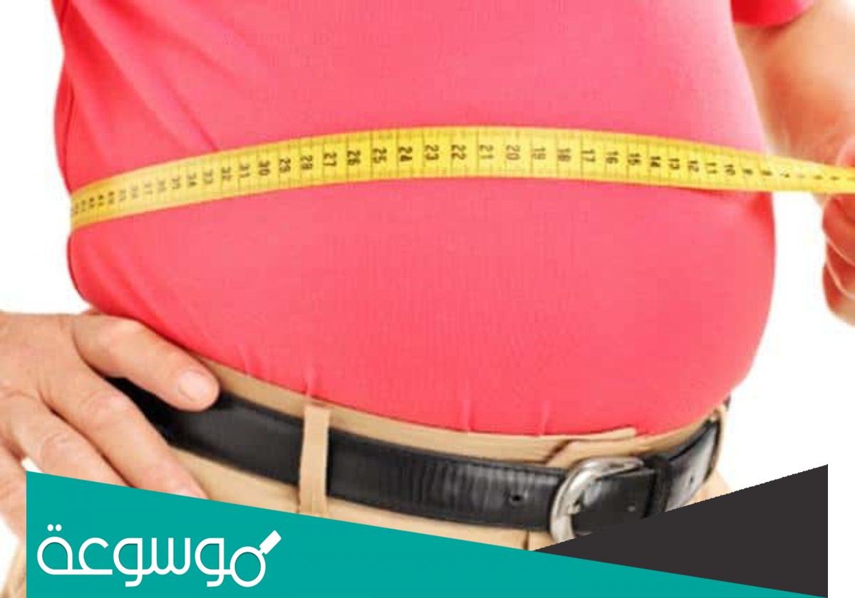 الأطعمة التي تسبب تراكم الدهون في منطقة البطن