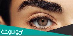 الأكلات التي تغير لون العين