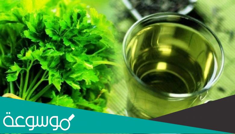 البقدونس يضر الحمل ويسبب الاجهاض