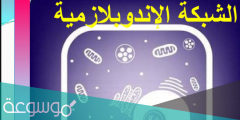 لماذا سميت الشبكة الاندوبلازمية الناعمة بهذا الاسم