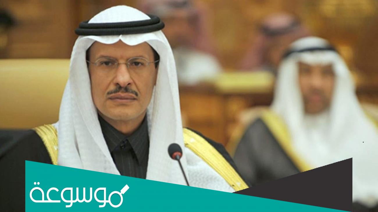 السيرة الذاتية لسمو الأمير عبد العزيز بن سلمان آل سعود