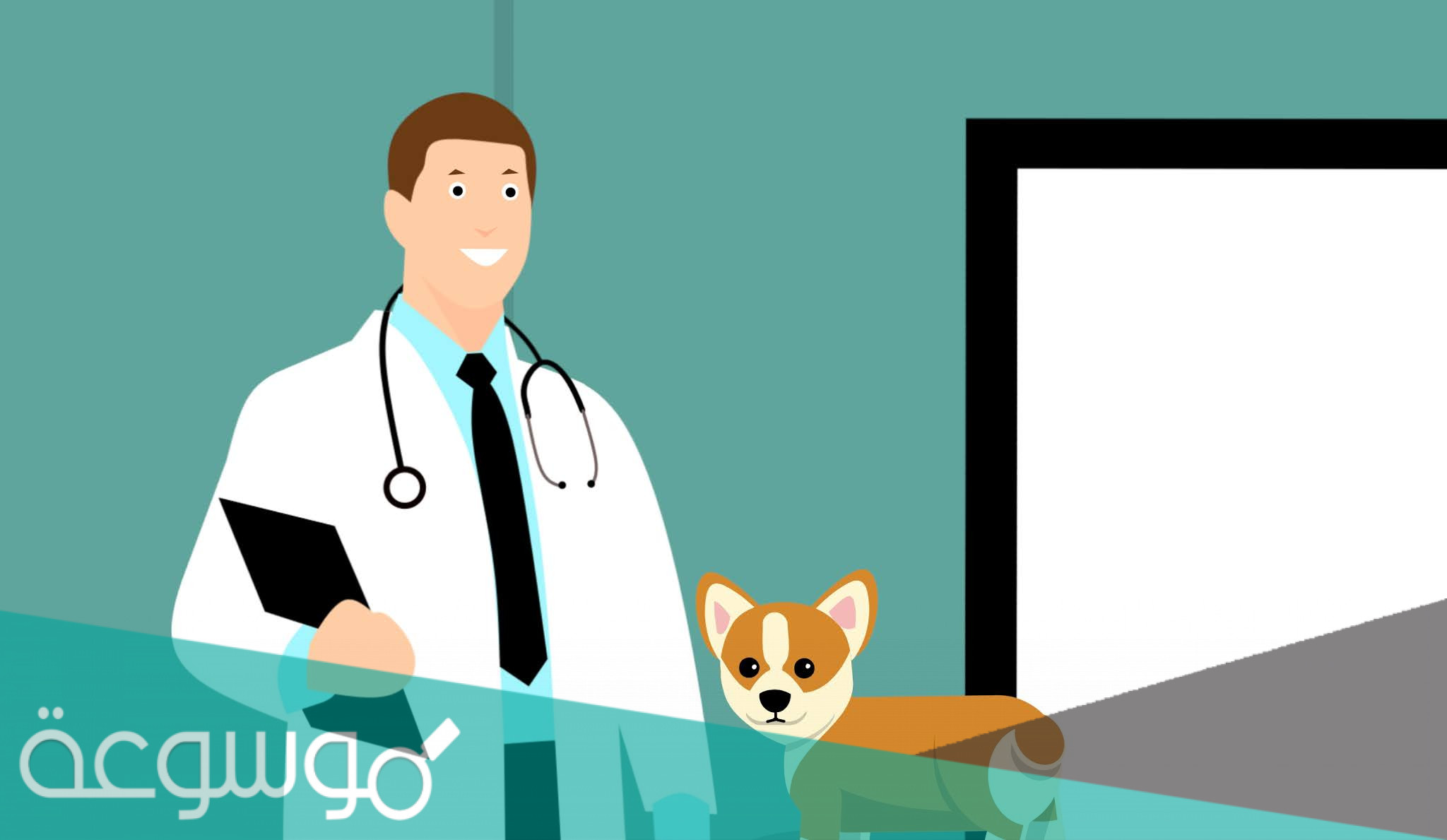 اين انشات اول كليه طب بيطري في العالم