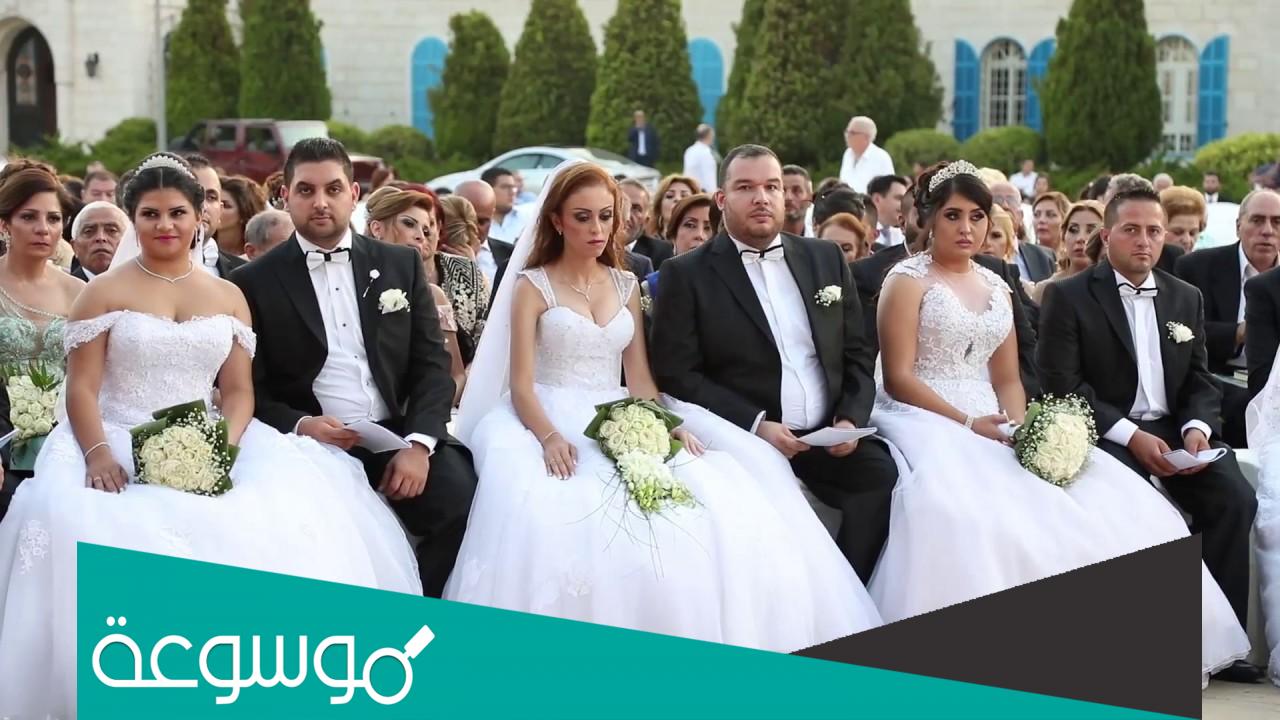 تفسير رؤية العرس في المنام حسب تفسير ابن سيرين