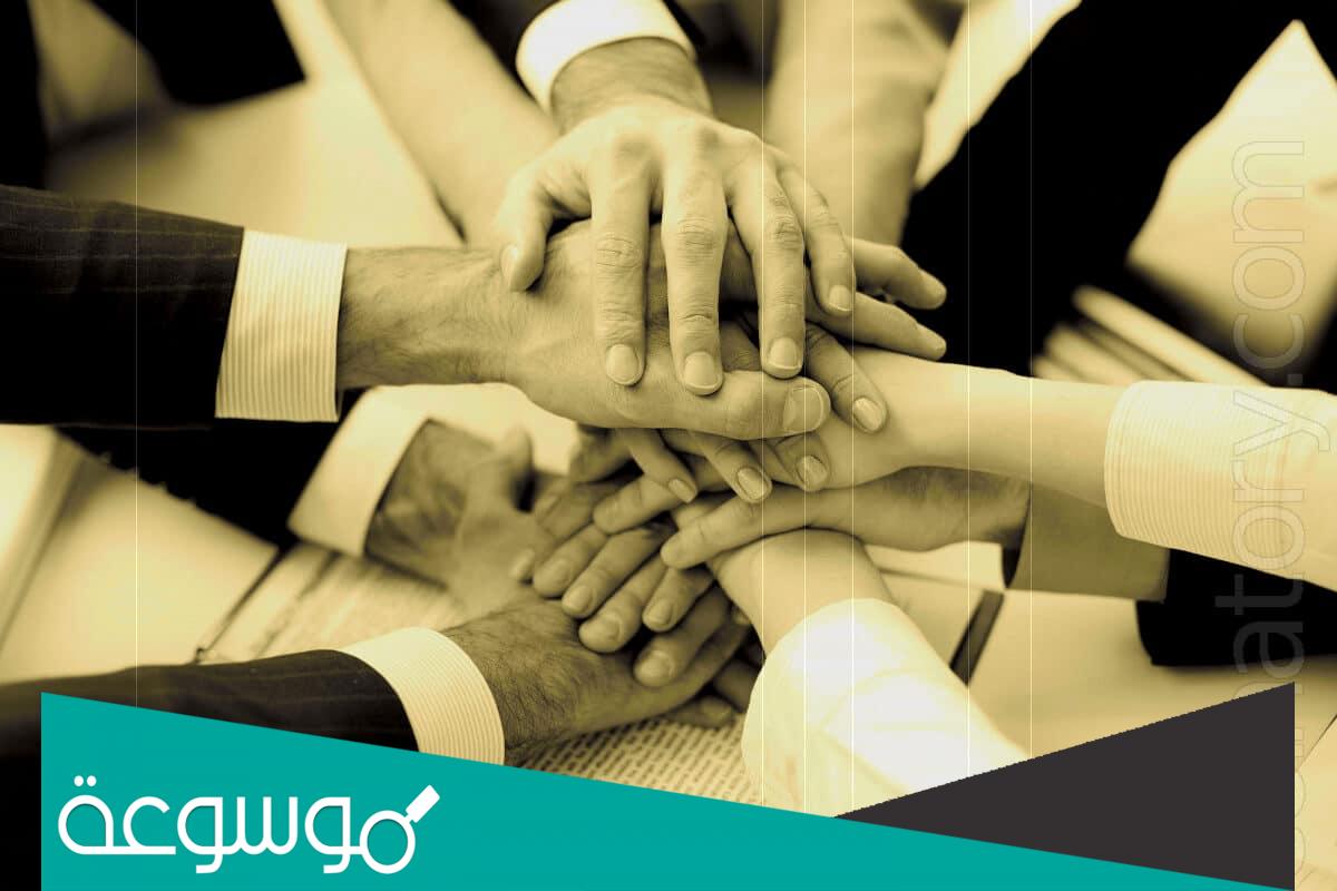 العمل ضمن فريق