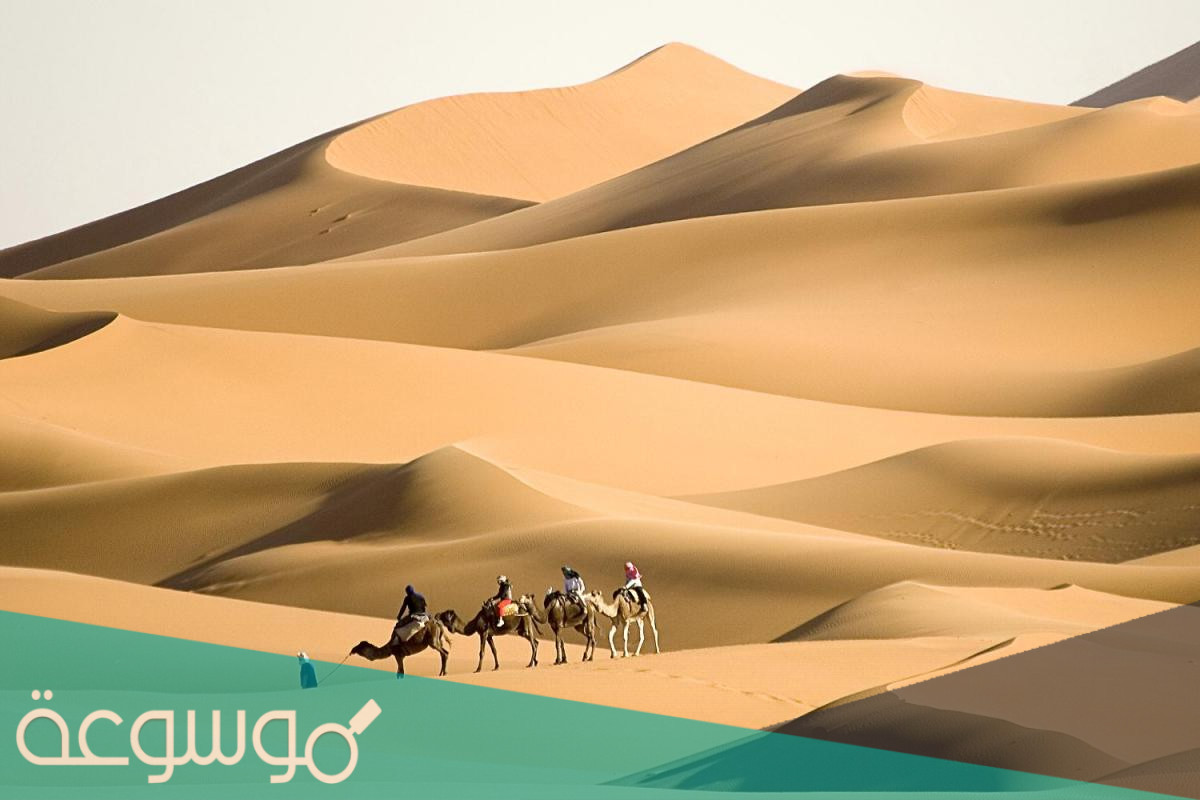 الفدعاني من اي قبيلة