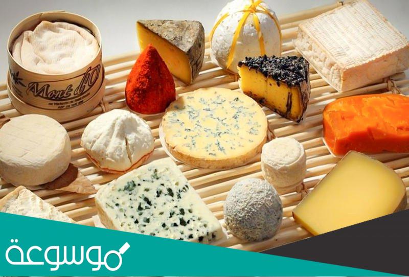 الفرق بين الجبن العكاوي والموزاريلا والحلوم