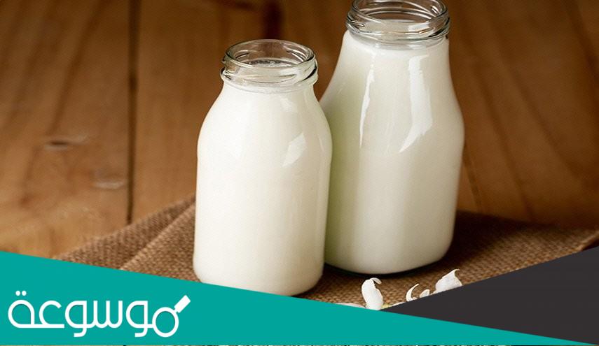 الفرق بين الحليب الحيواني والحليب النباتي