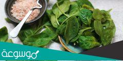 الفرق بين السلق والسبانخ وكيفية التفرقة بينهم
