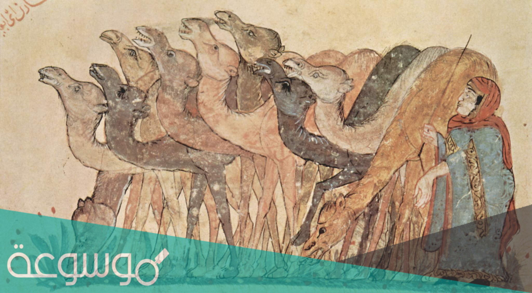 الفرق بين المقامة والقصة