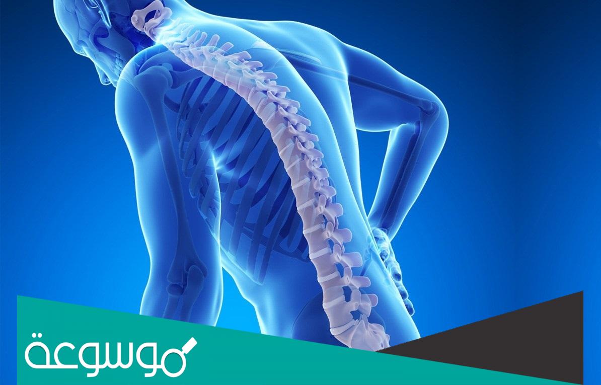 الفرق بين هشاشة العظام ولين العظام 