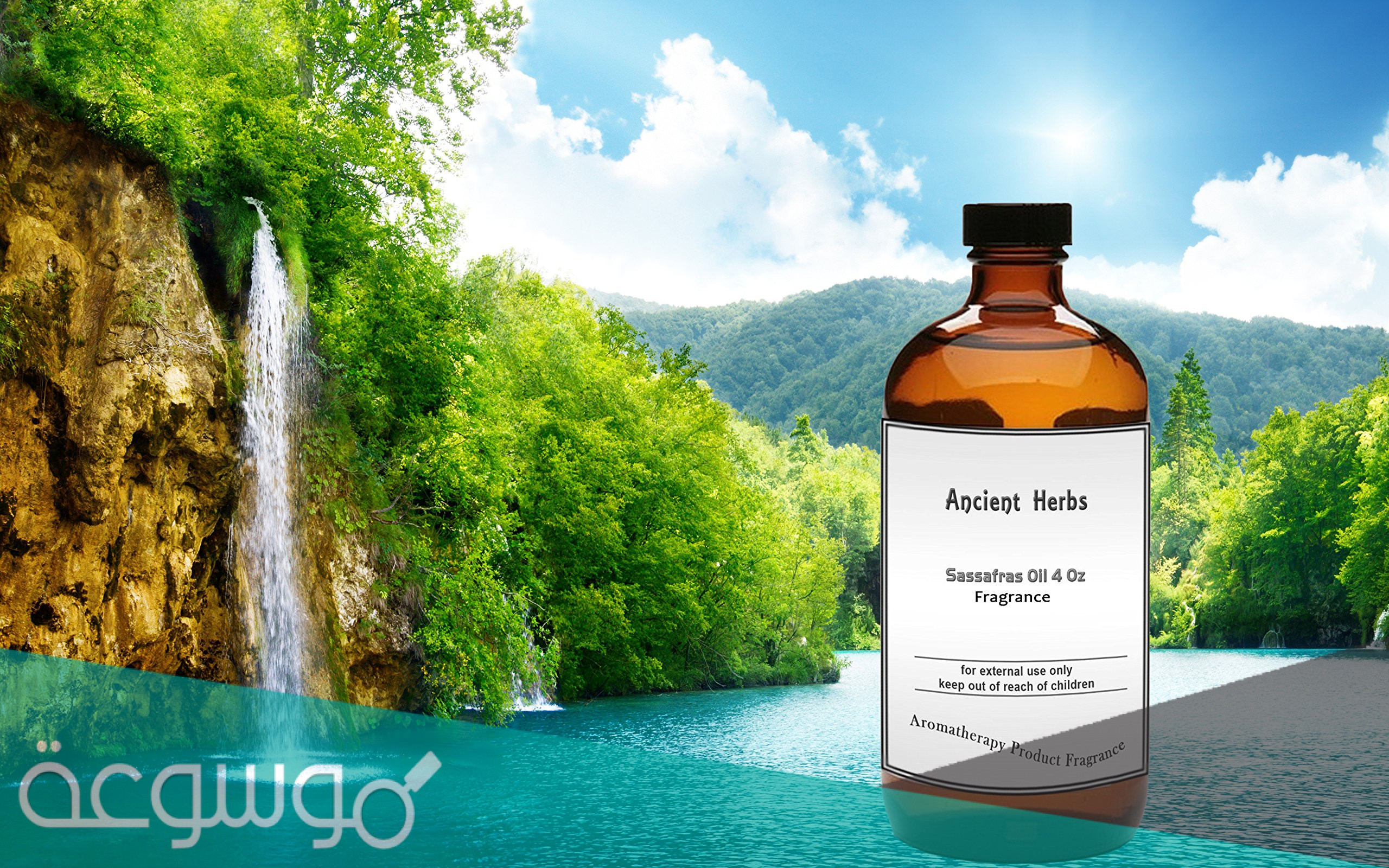الفوائد الصحية لزيت ساسافراس “Sassafras Oil”