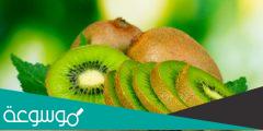 الفيتامينات والمعادن الموجودة في الكيوي وأهميتها