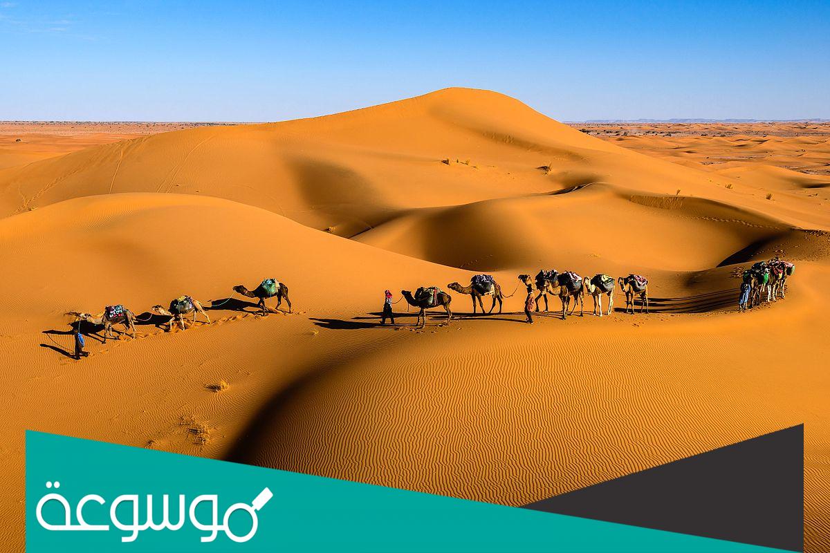 الكرشمي وش يرجع .. اصل قبيلة الكراشمة