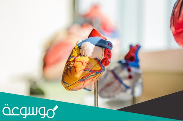 المصطلحات الطبية المستخدمة في المستشفيات