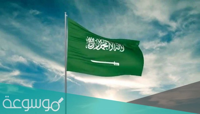 الوادعي من اي قبيله