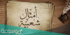 امثال شعبية (اللي ما يعرف الصقر يشويه) اجمل 150 مثل شعبي من مختلف الشعوب