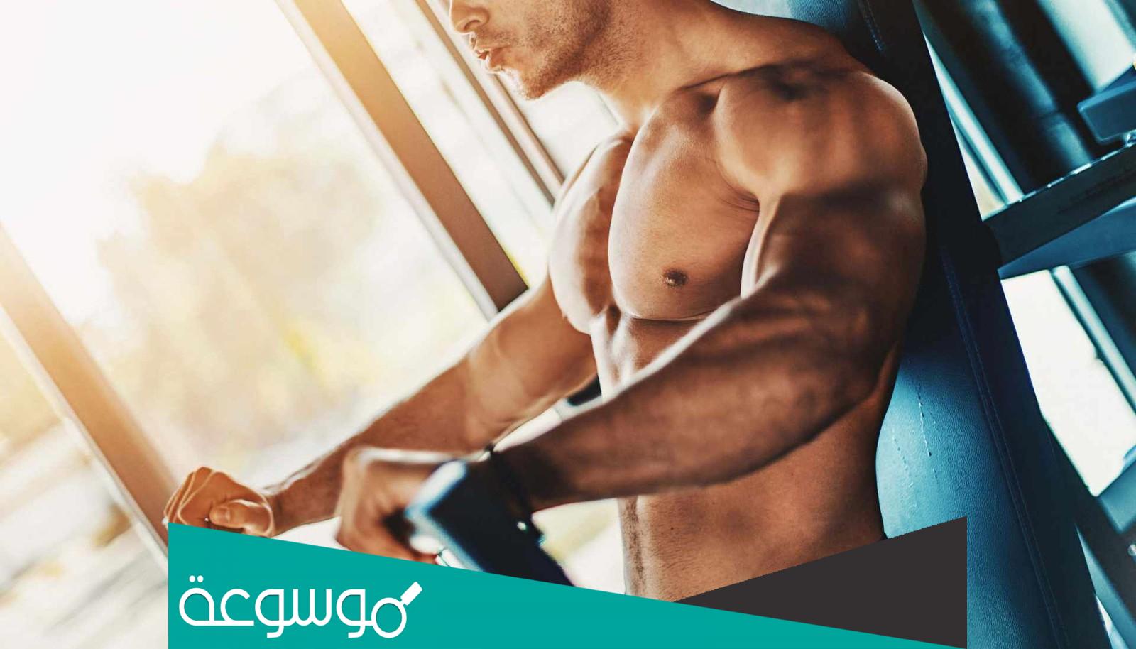 انواع الاجسام بالصور .. والملابس المناسبة لها