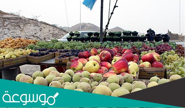 اهم المحاصيل الزراعية في ابها