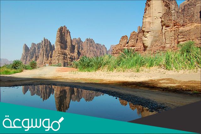 اهم المحاصيل الزراعية في تبوك