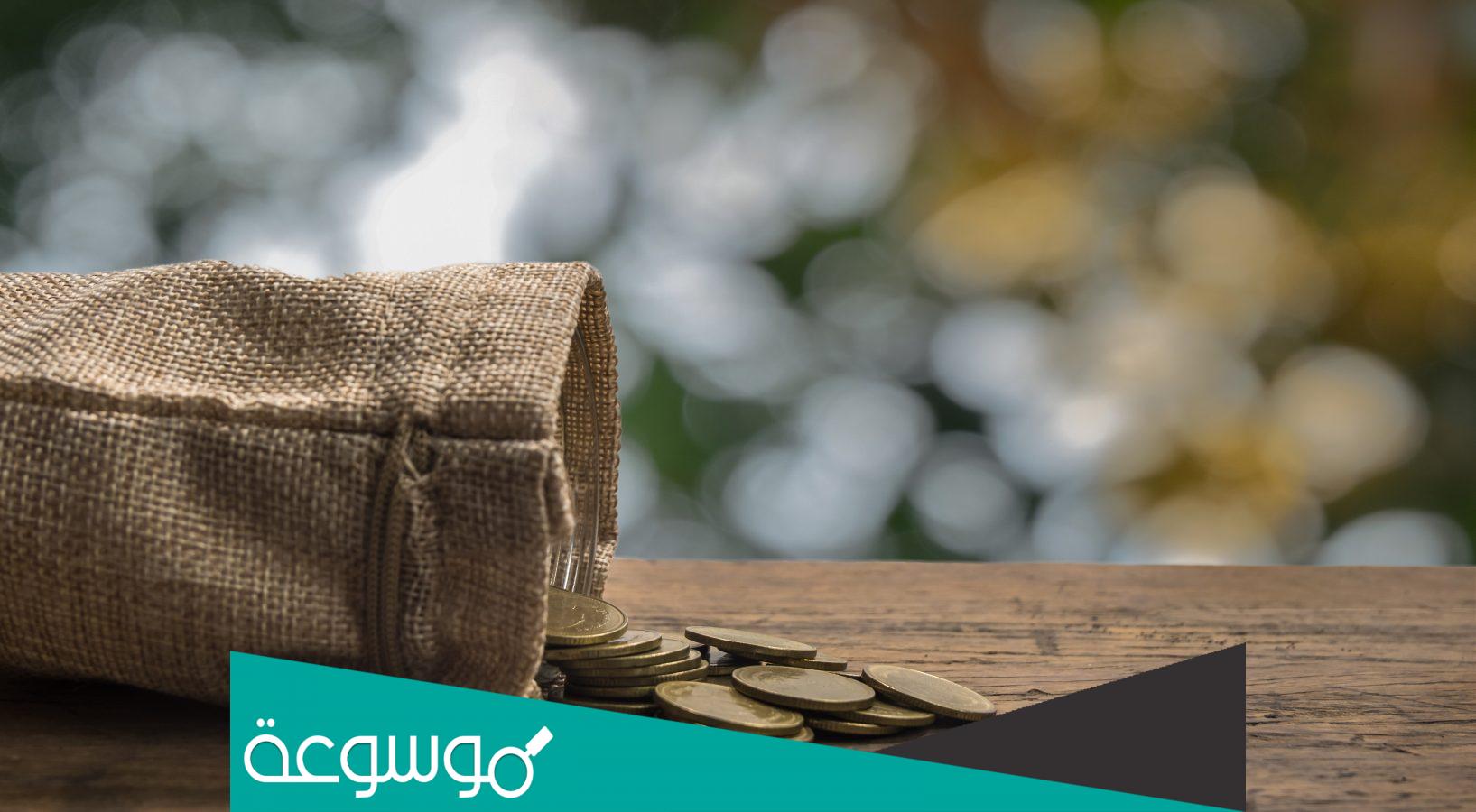 اهمية الاستثمار في التنمية الاقتصادية