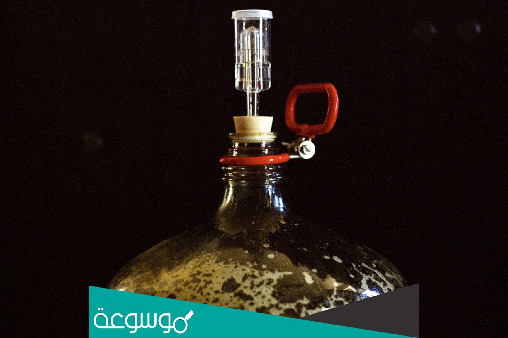 بحث عن الطاقة الخلوية والتنفس الهوائي واللاهوائي