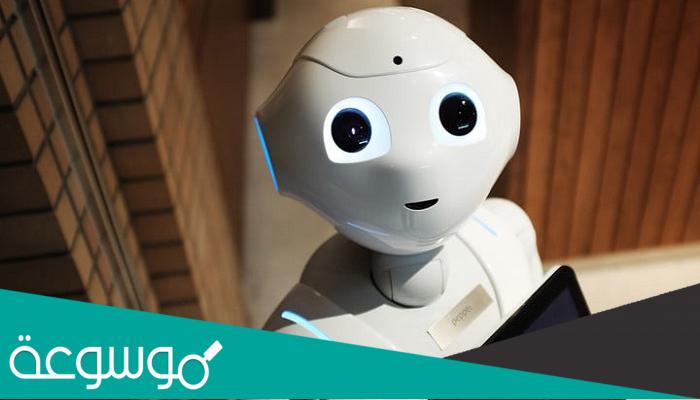 بيبر الروبوت العاطفي في اليابان