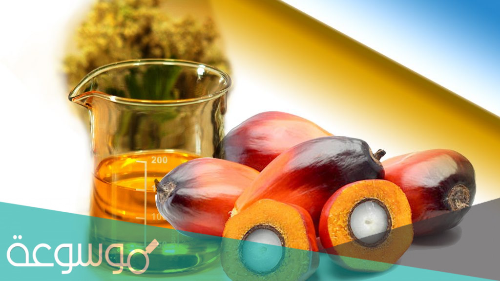 تأثير زيت النخيل على الكوليسترول