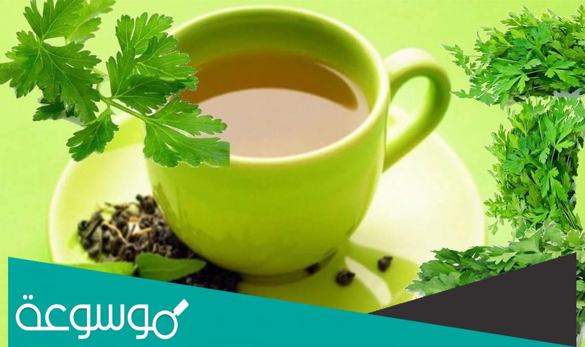 تجربتي مع الكزبرة للتنحيف