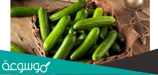 تعرف على الفيتامينات الموجودة في الخيار