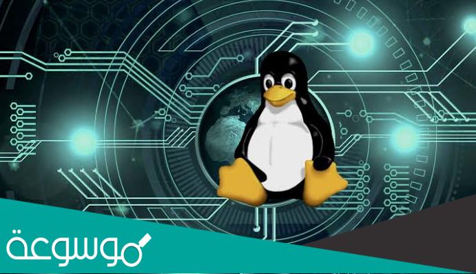 تعريف بالتوزيعة ومزاياها وخصائصها