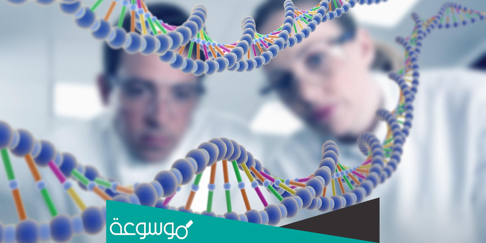 تقرير عن اكتشاف تحليل حمض DNA