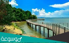 جزيرة بولاو أوبين في سنغافورة