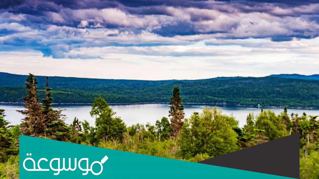 جزيرة نيوفاوندلاند