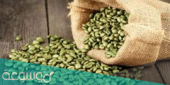 حبوب القهوة الخضراء للتنحيف