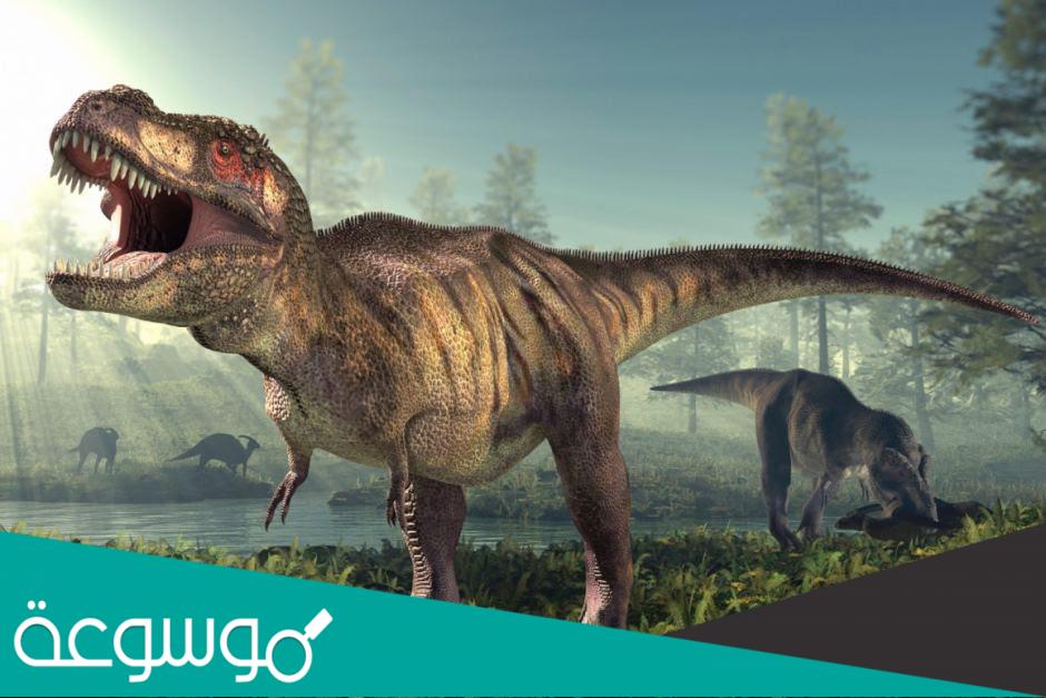 حيوانات منقرضة منذ ملايين السنين