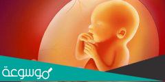 خطورة ثقب الغشاء المغلف للجنين