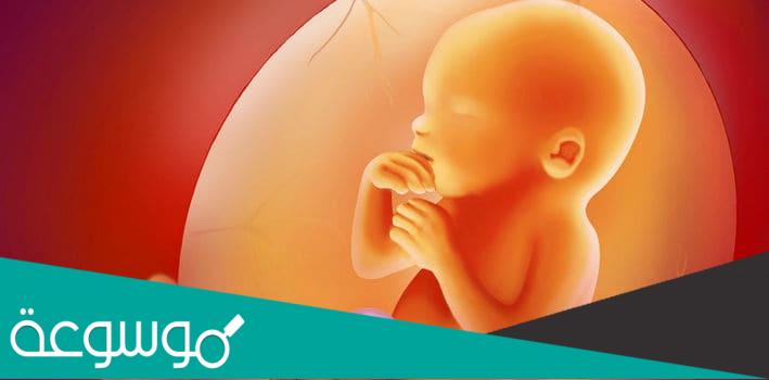خطورة ثقب الغشاء المغلف للجنين
