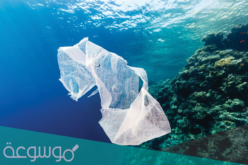 خطورة نفايات المواد غير القابلة للتحلل في الطبيعة
