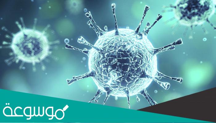 دراسة جديدة : اغلب الفيروسات تسقط من السماء