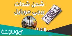 رابط موقع تحويل شدات ببجي عن طريق الرصيد