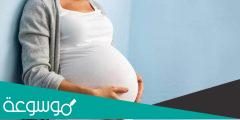 شكل خط البطن أثناء الحمل بولد