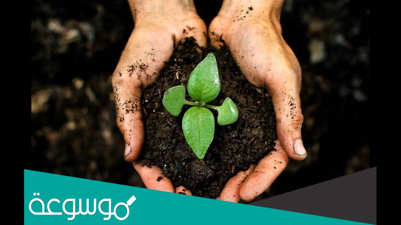 طرق حفظ التربة التي تؤدي الى زيادة النيتروجين