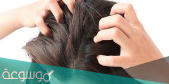 طريقة التخلص من حكة فروة الرأس