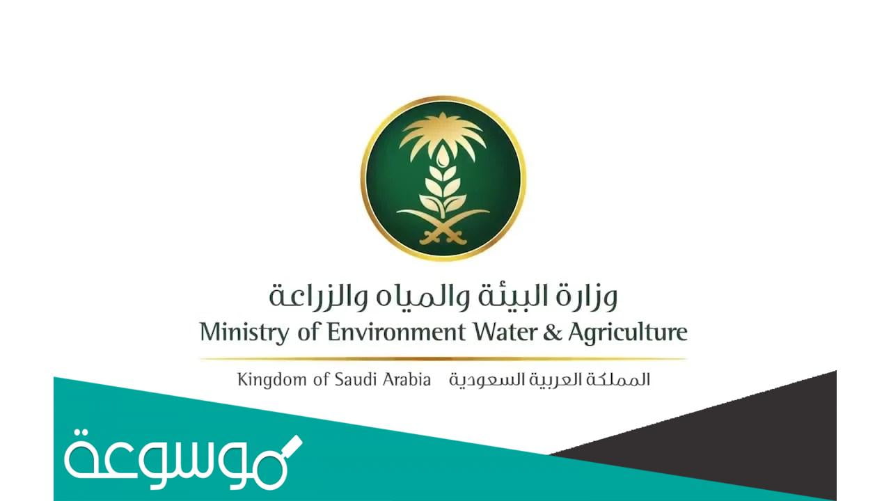 طريقة التسجيل في دعم مربي الماشية 1443 وأهم شروطها